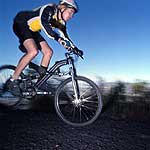 Adventure Activities - Bicycle Tours and Rentals